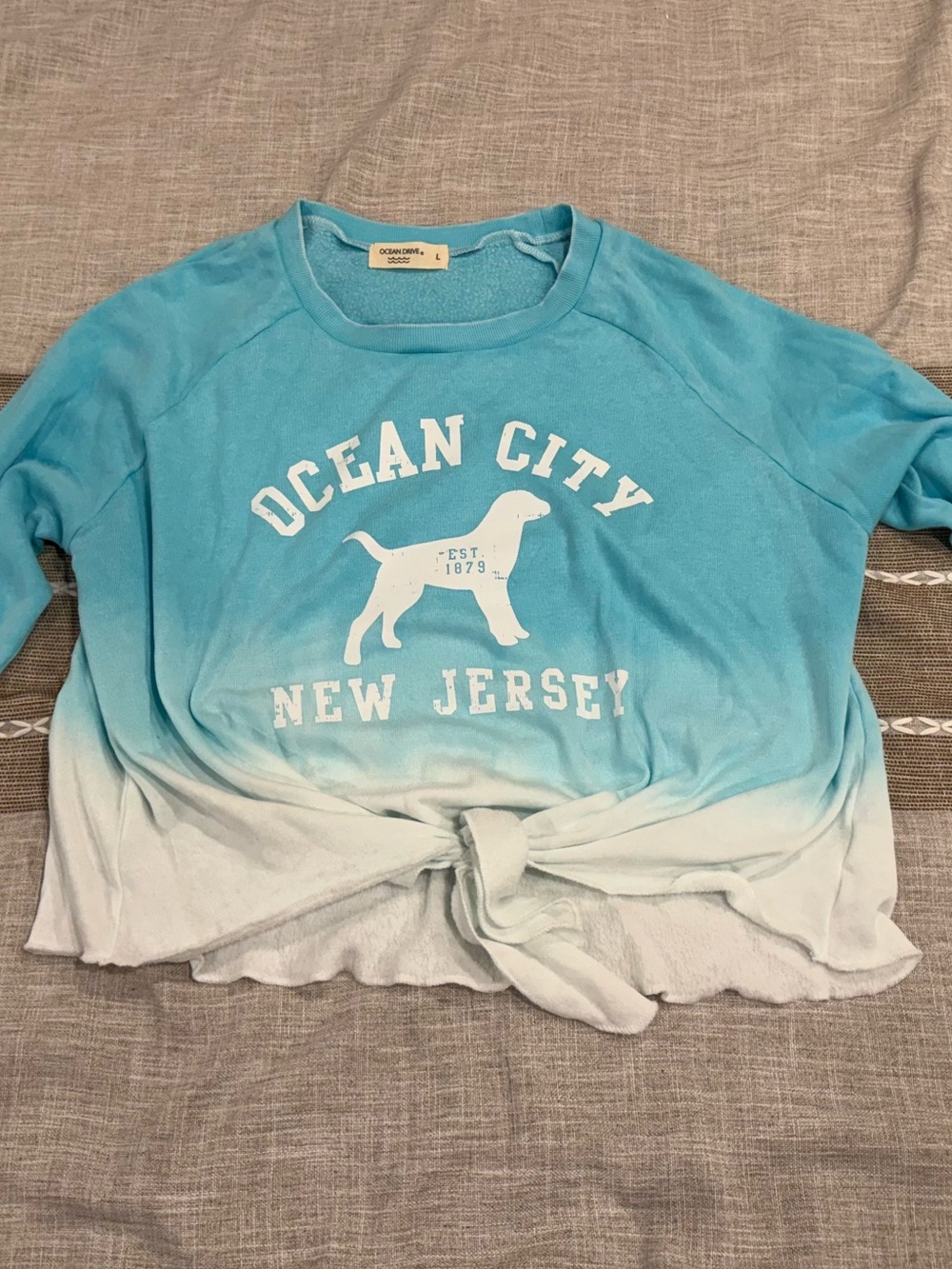 Ocean Drive Blue to White Ombre Dog Graphic Pet Tee